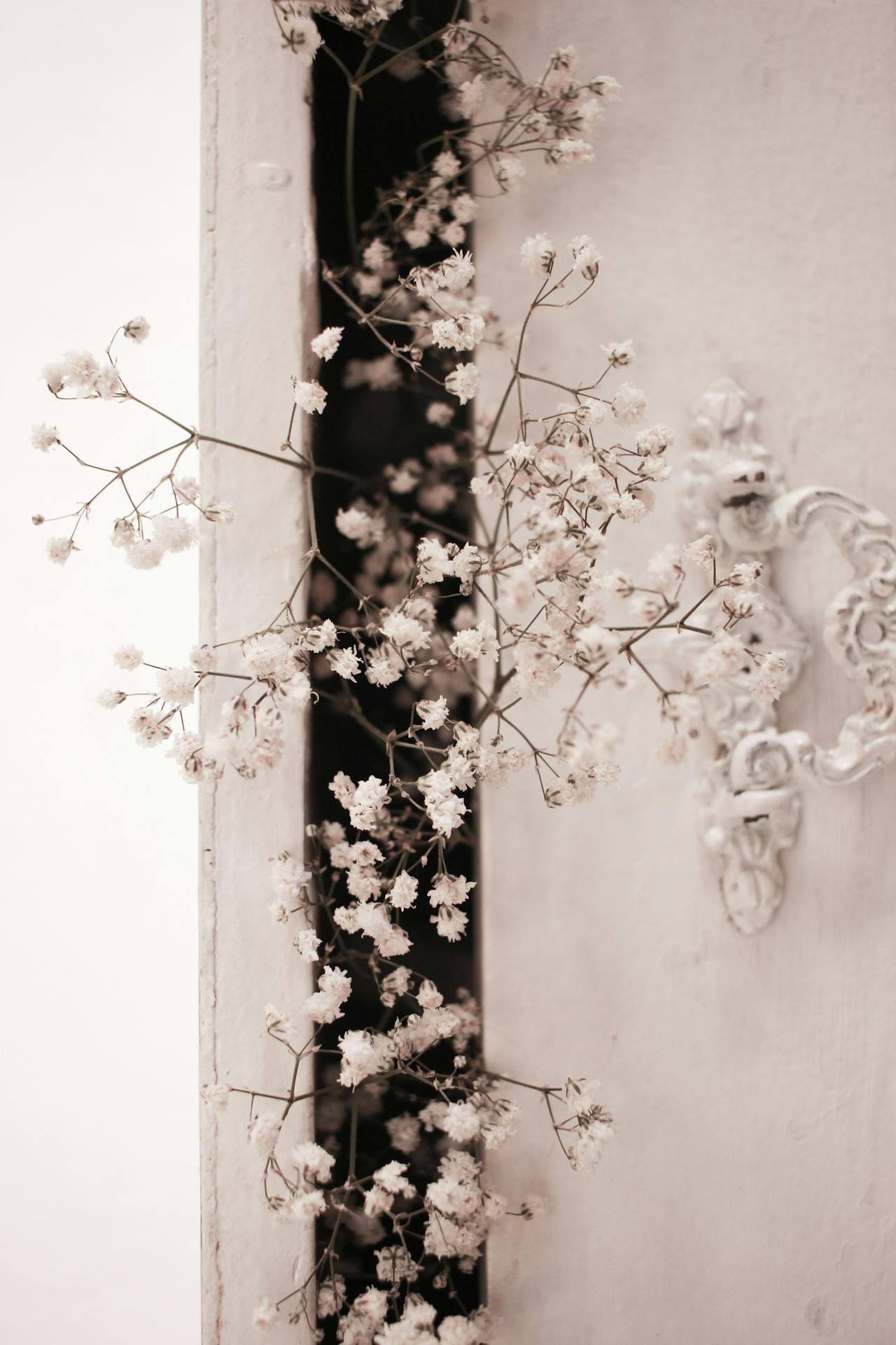 Foto-erfenis-bloemen